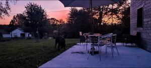 Maisons de vacances Evasion forestiere a Camors Lambel : photos des chambres