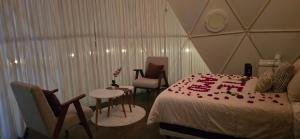 El Gato Glamping con vista al valle