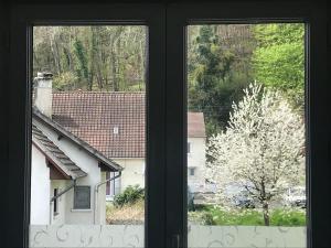House next to Parc Astérix and Chateau de Chantilly