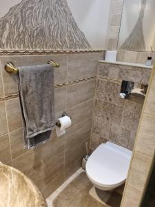 Sauna 5 bedrooms apartment in old town & Parking