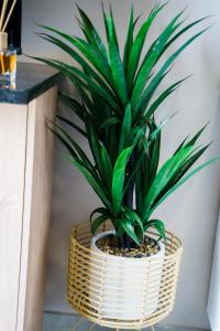 204 The Base Apartment