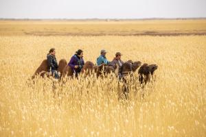 Gobi-Girl