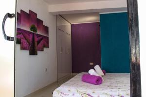 Seaside apartments with a swimming pool Pisak, Omis - 23884