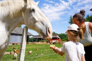 Maisons de vacances Chalet in Veules-les-Roses near Sea : photos des chambres
