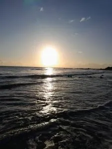 Bonanza - 里奥杜福古