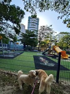 Apartamento con vista al río Magdalena Malecón del Río