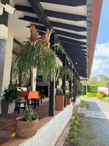 Hotel Campestre Cerritos Plaza