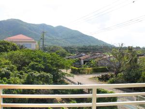 Pine Shima Resort Coral Fish
