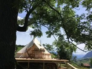 Zeltferien Into the Wäid "Zelt unter der Esche" - Wirzweli