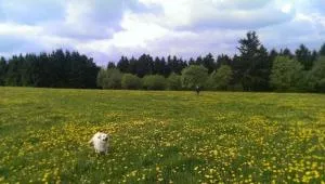 Ferienhaus Mietz - Grafengehaig