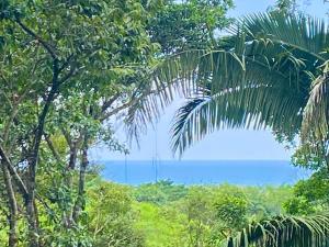 Sinfonía Tropical, ocean view, 5 minutes driving to Playa Linda, 15 to Dominical, wifi Starlink