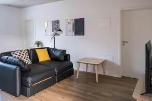 Atrium Apartment 2 - Büsingen am Hochrhein