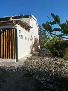 Casa Cocodrilo - José Cardel