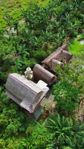 Mimpi of Orangutan Adventure, TREK ONLY BOOK WITH US