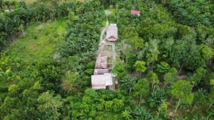 Mimpi of Orangutan Adventure, TREK ONLY BOOK WITH US