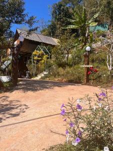 มาค่ะ ฟาร์มสเตย์ ห้วยเขย่ง สวนคุณตา สวนทุเรียนทองผาภูมิ