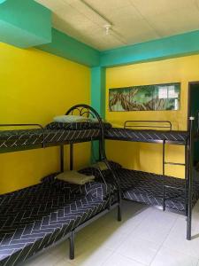 Snooze Baguio: Unit for Rent w/ Balcony View