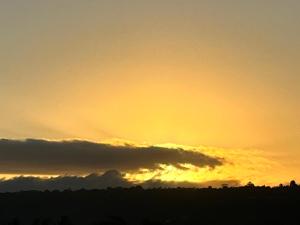 Txaleta de Camiguin desde 2024