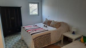 Appartements Apparemment avec JARDIN idealement situee : photos des chambres