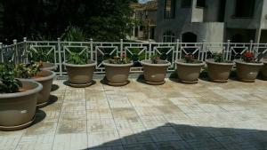 Cozy Awesome place by Coco Beach in Oysterbay