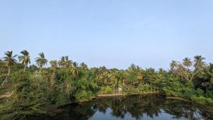 Lake view nest