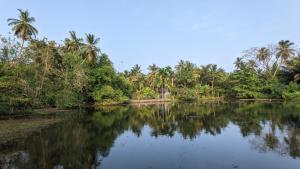 Lake view nest