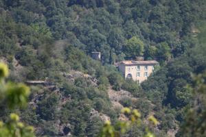 B&B / Chambres d'hotes La Grenouille : photos des chambres