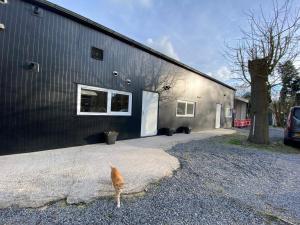 Holiday Home Vijfhuizen 2pers Lisa