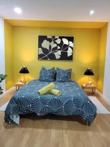 Appartement complet clim et borne arcade - Palladuc