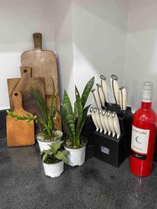 Baguio Foggy Vacation Home