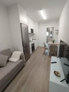 Ponte do Burgo Bajo - Lérez