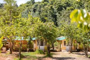 Scent Chalet - Scent Villa - Hoat