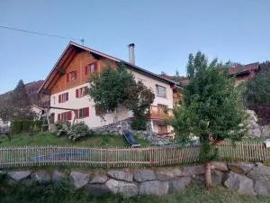 Biobergbauernhof Wittwer - 韦尔塔赫