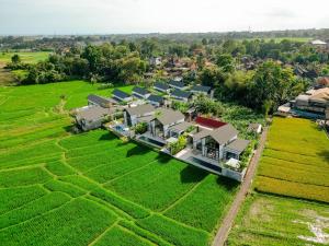 Villa Kura Kura - Tranquil Modern Villa in the Heart of Ricefields