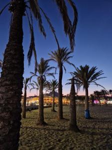 Appartement La Isla Imaré