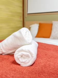 浅草複式公寓 民宿 最大10人 浅草 浅草寺