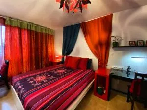 Meublé Les Dômes du Parc 6ème - 热尔扎