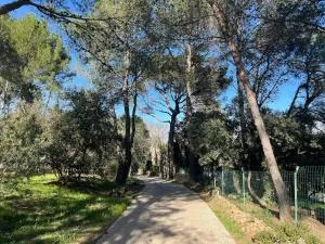 MAS de PUJOL - Vendémian