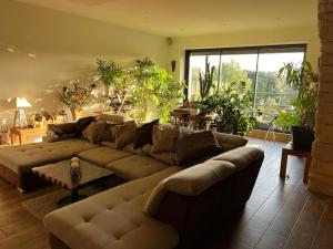 Villas MAS de PUJOL : photos des chambres