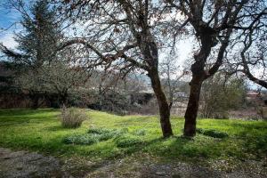 Maisons de vacances L-Espedes a Ruoms : photos des chambres