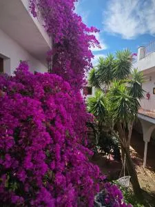 El Penell Estudi Mestral - Vilamaniscle