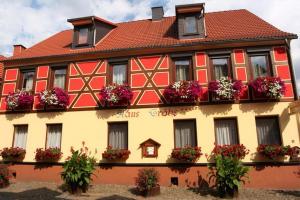 Wohnung In Ilfeld Mit Grill Und Garten