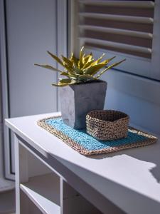 Luxury Penthouse Parioli