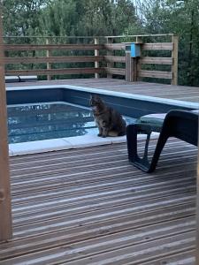 Maisons de vacances Le Mas de L-Arceau - Mas avec piscine en Sud Ardeche : photos des chambres