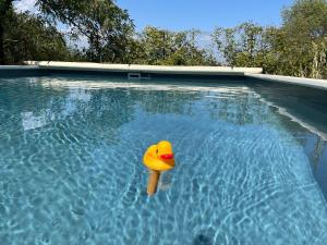 Maisons de vacances Le Mas de L-Arceau - Mas avec piscine en Sud Ardeche : photos des chambres