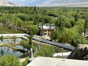 Paradise Shey 水森シェ