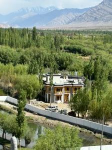 Paradise Shey 水森シェ