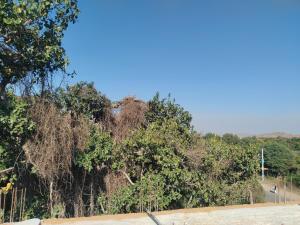 Aravalli Mount View Hotel And Restaurant