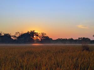 The Honey House Self-Catering and Camping
