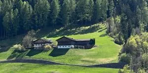 A farm in the middle of the silent nature - Vinga